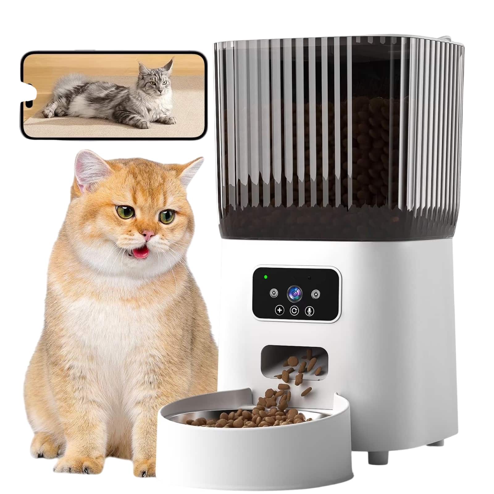 Best 5 Cat Automatic Feeders of 2025: Never Miss a Meal Again