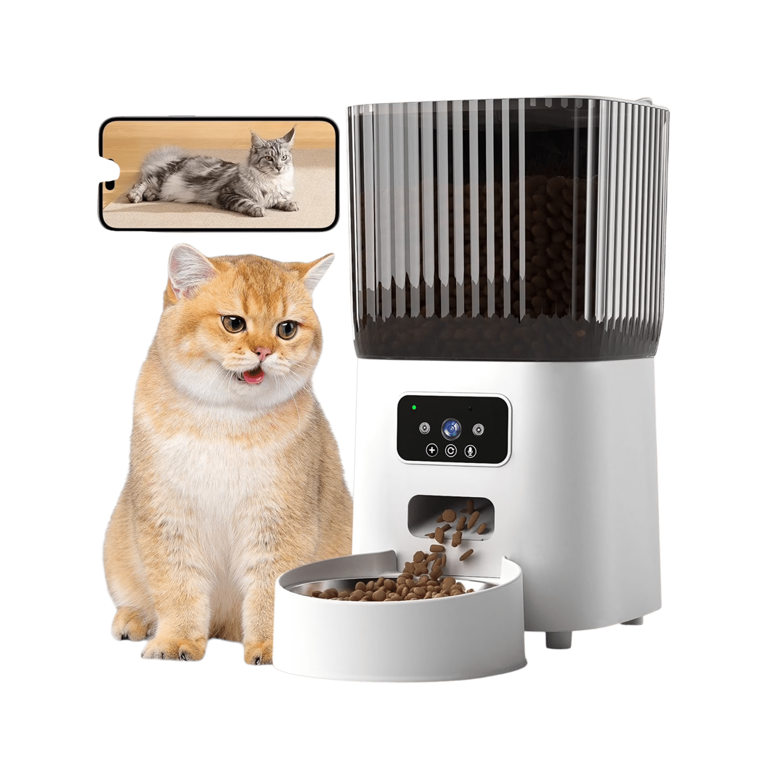 Best 5 Cat Automatic Feeders of 2025: Never Miss a Meal Again