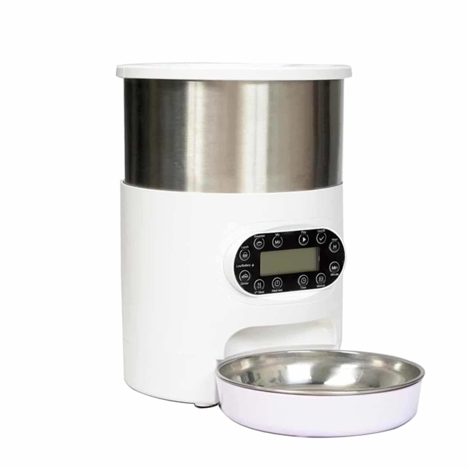 Best 5 Cat Automatic Feeders of 2025: Never Miss a Meal Again