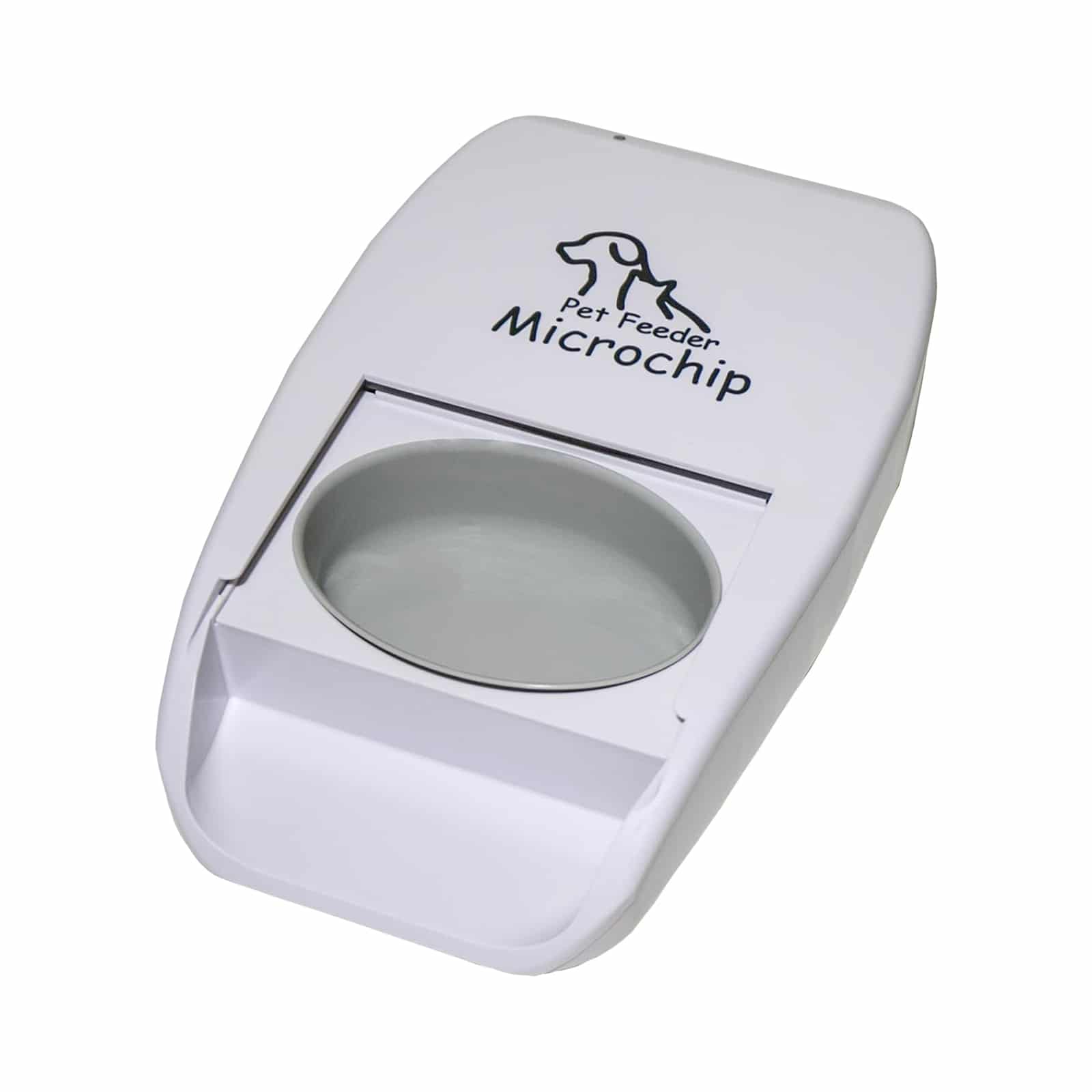 Best 5 Cat Automatic Feeders of 2025: Never Miss a Meal Again